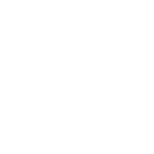 Bike Icon